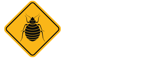 Traitement Punaise